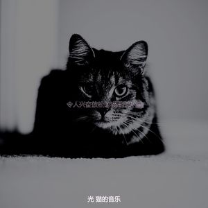 抚慰的压力大的猫回忆