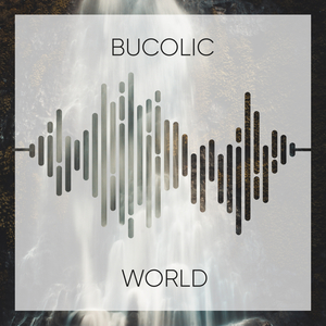 Gentle Ocean Birds Play