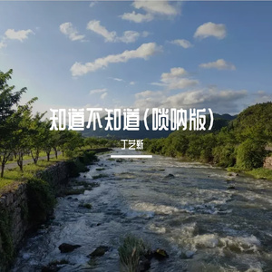 知道不知道(唢呐版)