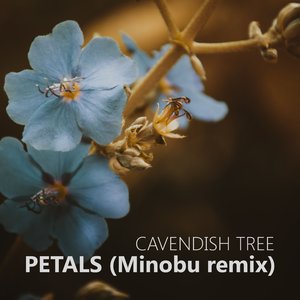 Petals (Minobu Remix)
