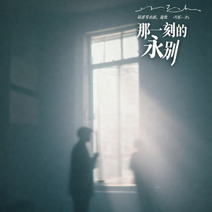 那一刻的永别