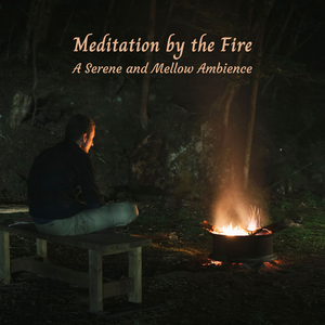 Blazing Fire Into Ashes