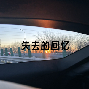 失去的回忆