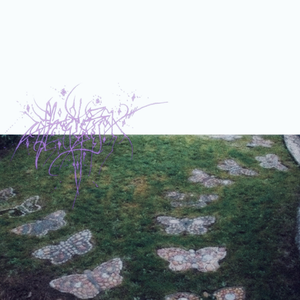 the light i hold in my hands