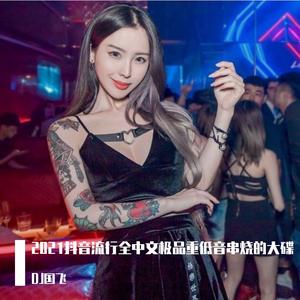 2021抖音流行全中文极品重低音串烧的大碟