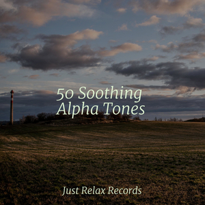 Harmonious Bliss Melding