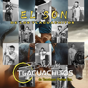El son de los tlacuachitos