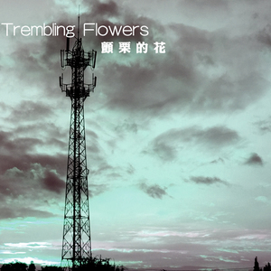 一颗垮了的星星