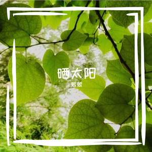 晒太阳（feat.洛天依）