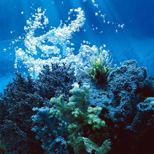 二进制深海