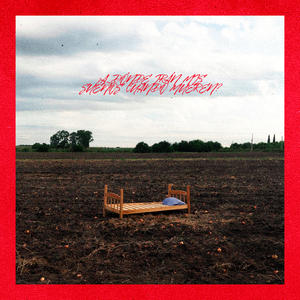 ¿a dónde irán mis sueños cuando mueren?