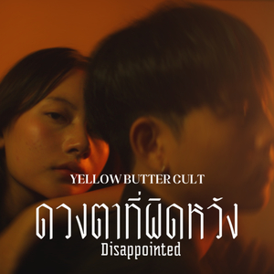 ดวงตาที่ผิดหวัง