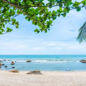 Relaxing Music with Water Sounds Sea Meditation Heal