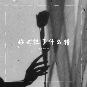 你又犯了什么错demo