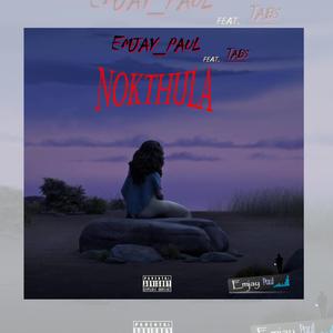 Nokthula (feat. Tabs)