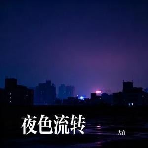 夜色流转
