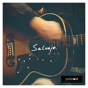 Salvaje