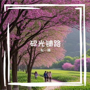 碎光铺路