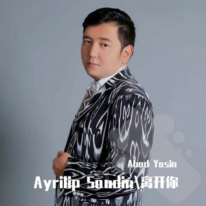 Ayrilip Sandin\离开你