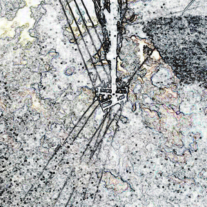 【free】琉璃（Melodic//Emo Trap//Drill Type Beat）