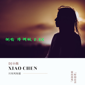 侧脸 (降调版 0.8x)