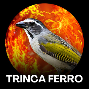 Trinca Ferro Grito de Guerra