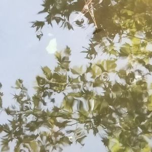 一个人的漫步
