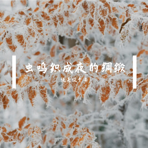 吊扇转出夏日圆舞