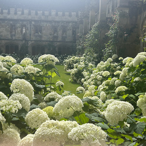 写给十年前的自己的一封信