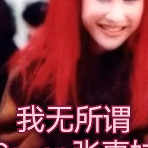 AI CoCo - 我无所谓