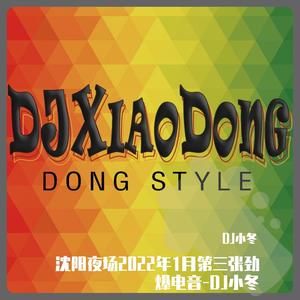 DJ小冬-沈阳夜场2022年1月第三张劲爆电音-DJ小冬（DJ小冬 remix）