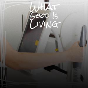 Das Hab' Ich In Paris Gelernt