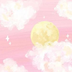 都市丽人生存报告