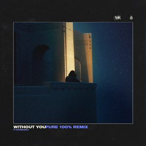 Without You (Pure 100% Remix)