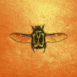 2024截然不同trap type beat