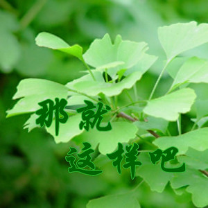 那就这样吧（Cover 群星）