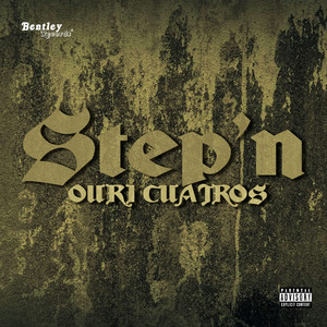 Step'n