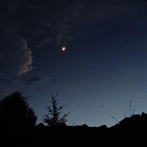 独一无二的存在