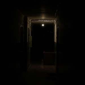 сплю? (feat. PLXRY)