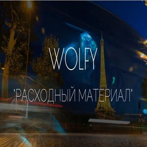 "РАСХОДНЫЙ МАТЕРИАЛ"