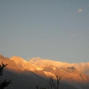 看见到处是阳光