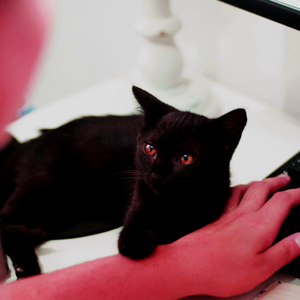 কবর বলতে আমরা যেটা বুঝি আসলে এটা নয়