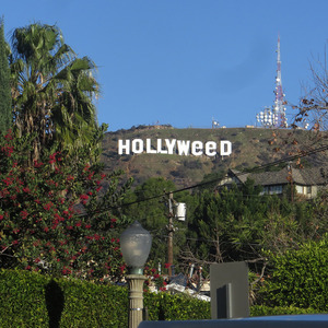 HOLLYWeeD