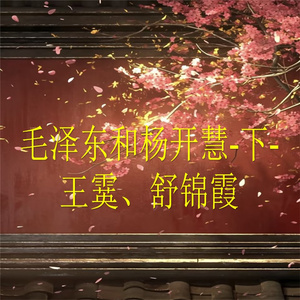 毛泽东和杨开慧-下-6