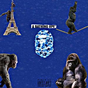 Bathing Ape