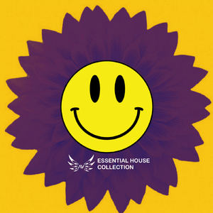 Savanna Drums (Original Mix)