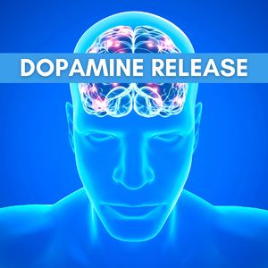 Dopaminfreisetzung