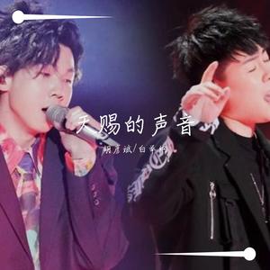 胡彦斌-单恋一枝花（宇Sir remix）