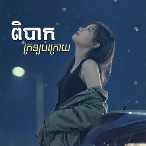ពិបាកត្រឡប់ក្រោយ-Acoustic