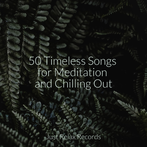 Echoes of the Hidden River